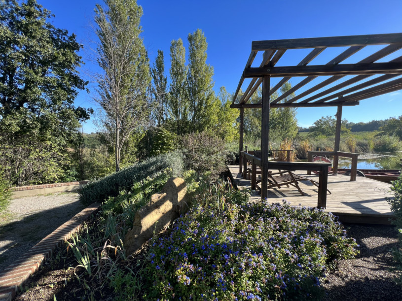 plush74 beneficio 33(1)