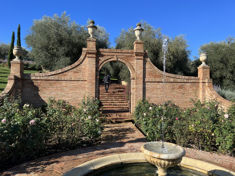 plush74 beneficio 34(1)