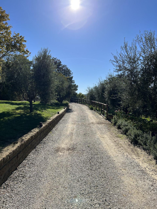 plush74 beneficio 42(1)