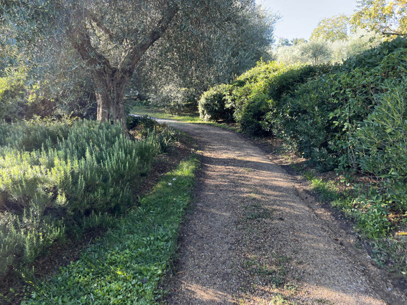 plush74 beneficio 44(1)