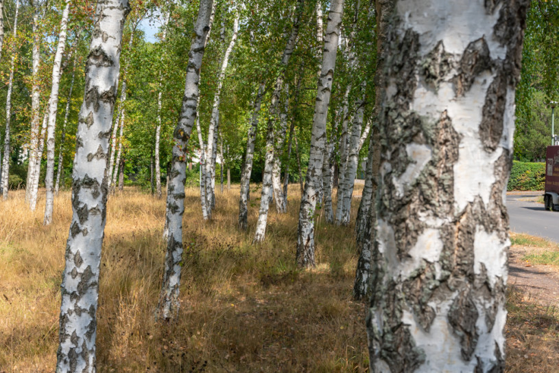 plush74 berlin location rental film scout photo village american style28