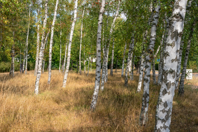 plush74 berlin location rental film scout photo village american style29