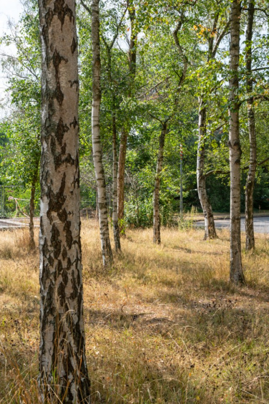 plush74 berlin location rental film scout photo village american style31