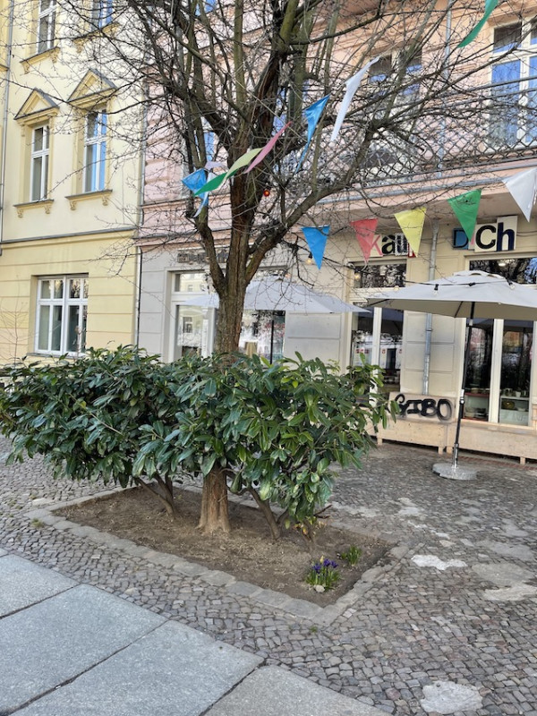 pluche74 berlijn straten oderbergerstrasse 20