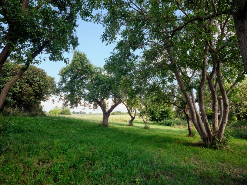 plush74 black country house 18