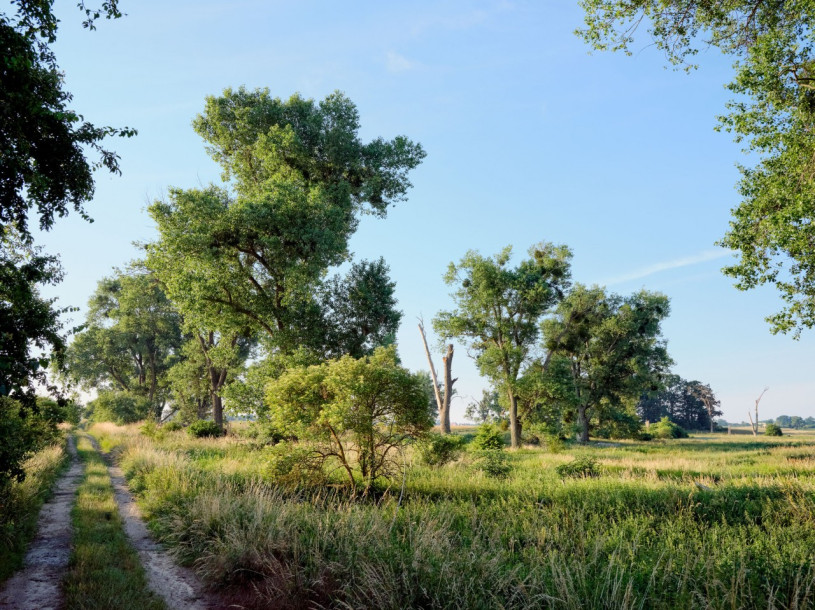 plush74 black country house 19