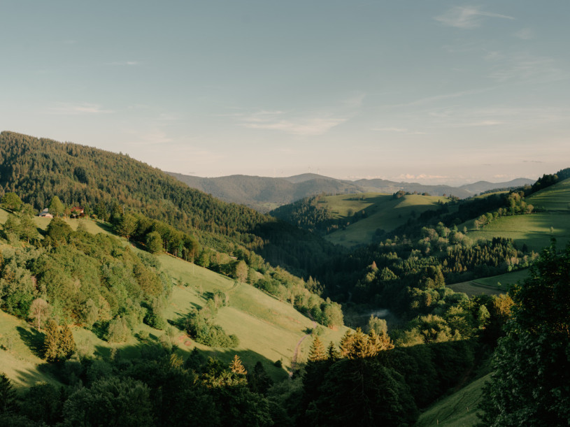 plush74 black forest house 1650 4