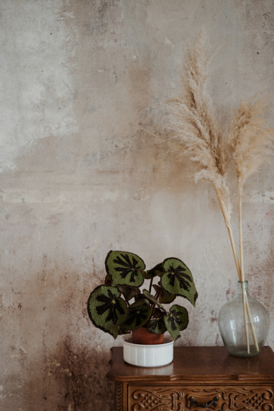 plush74 black studio 17