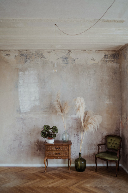 plush74 black studio 5