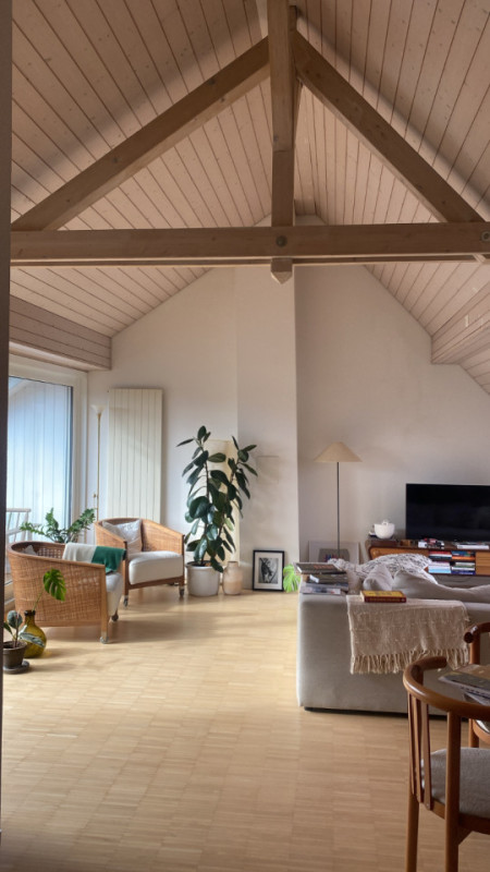 plush74 bright and airy seefeld attic loft 12