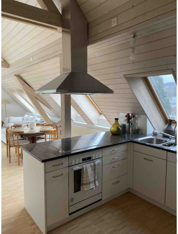 plush74 bright and airy seefeld attic loft 3