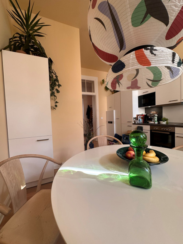 plush74 bright apartment west berlin 25(1)