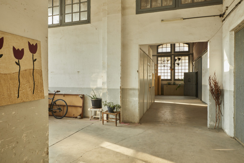 plush74 casa antoni1 3