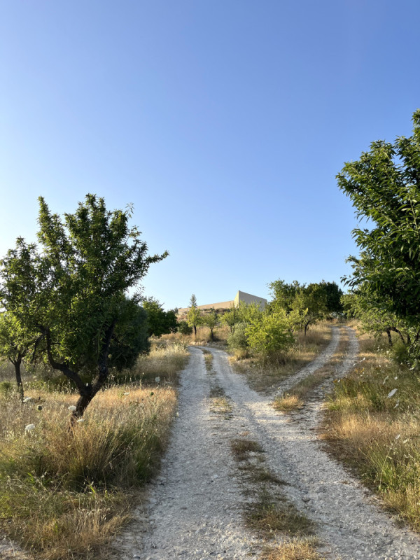 plush74 casa mont olive mallorca 11