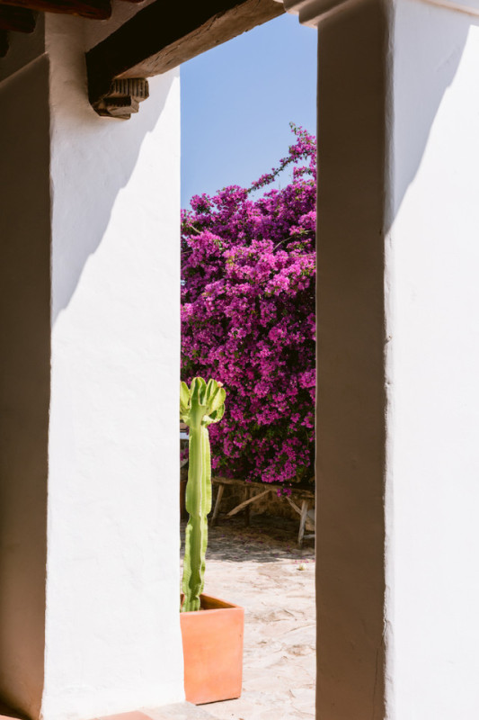 plush74 charming ibiza pool villa 22