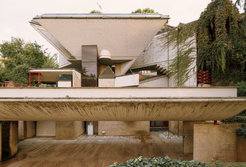 plush74 coleottero 1(1)