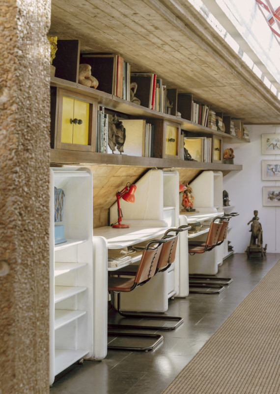 plush74 coleottero 26