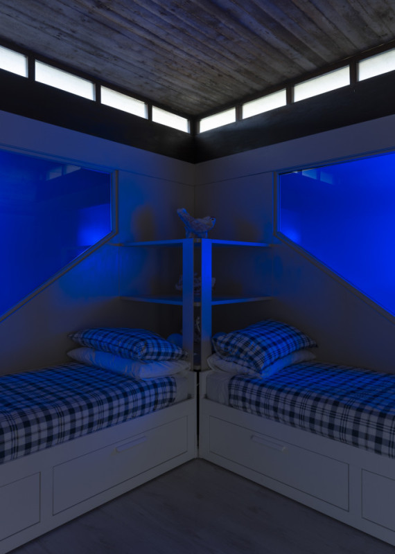 plush74 coleottero 34