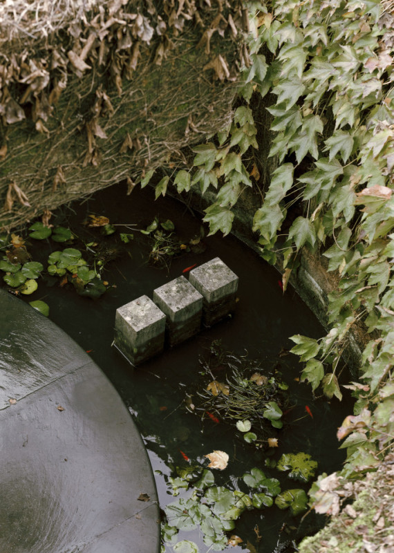 plush74 coleottero 38(1)