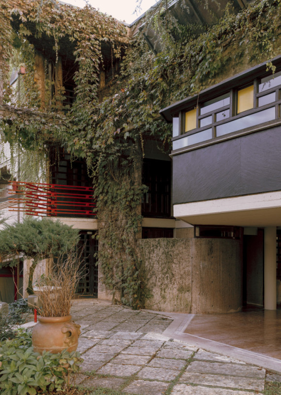 plush74 coleottero 40(1)