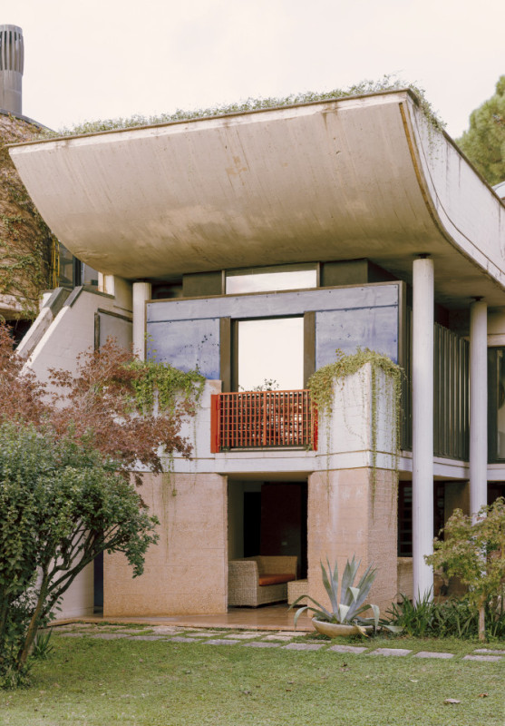 plush74 coleottero 41