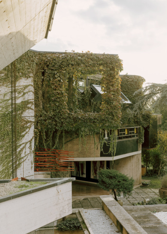 plush74 coleottero 43