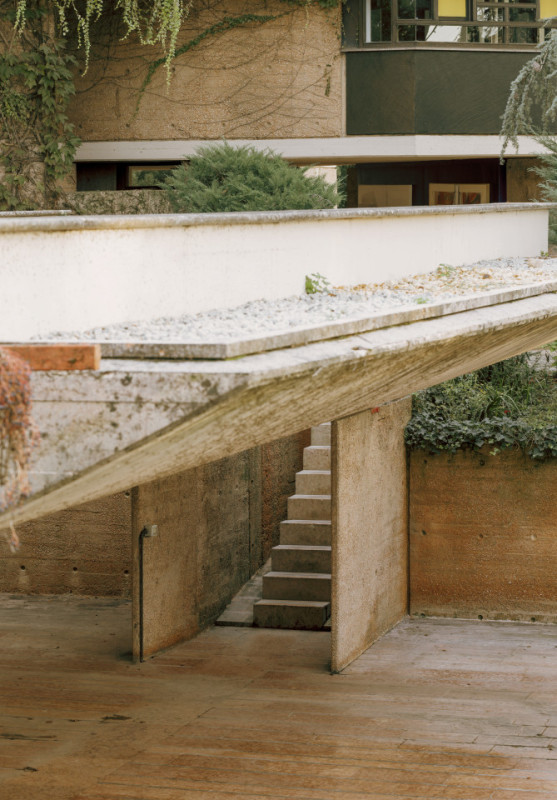 plush74 coleottero 45