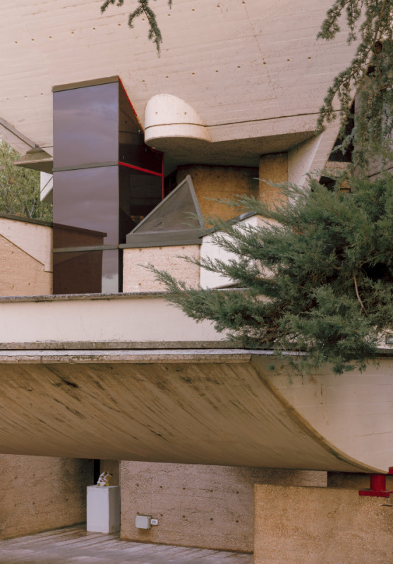 plush74 coleottero 48