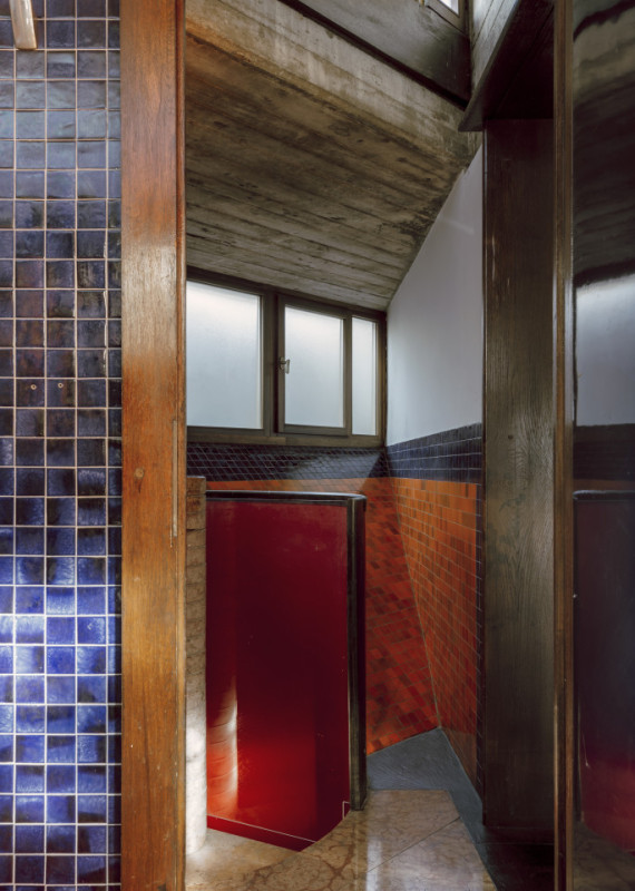 plush74 coleottero 5(1)