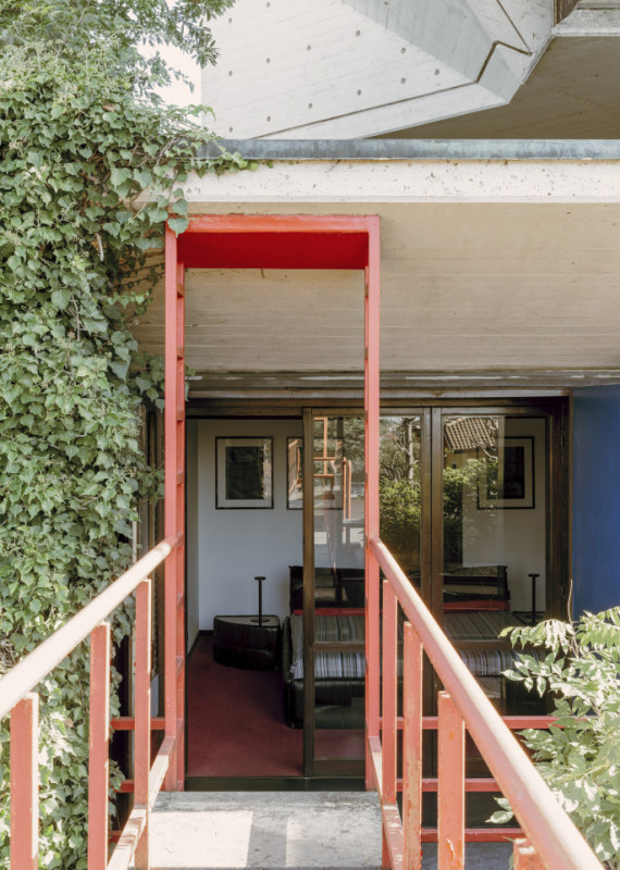 plush74 coleottero 50