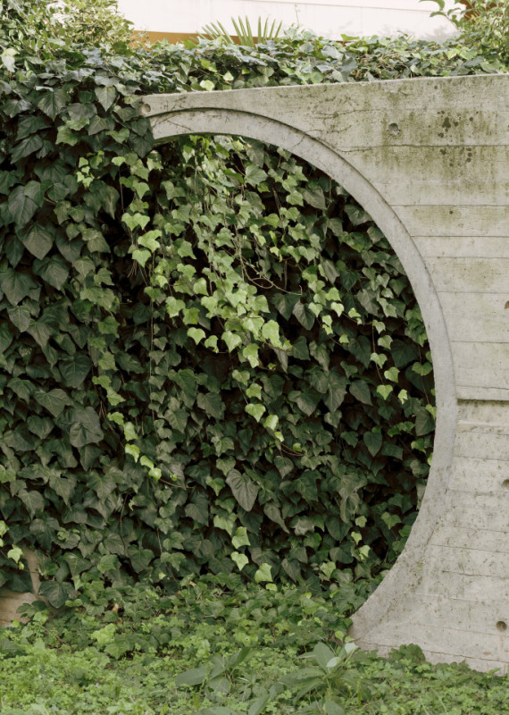 plush74 coleottero 59