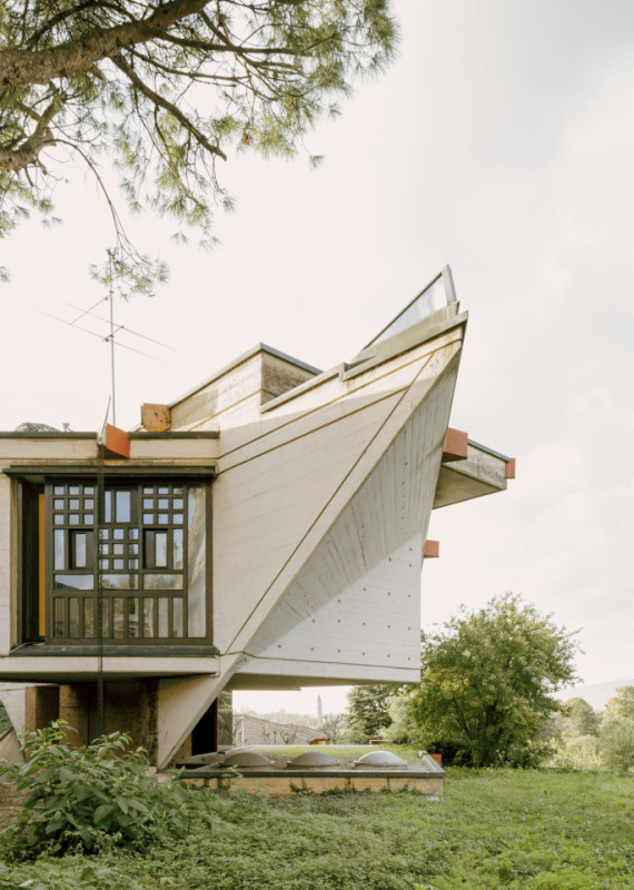 plush74 coleottero 62