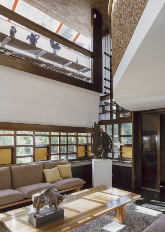 plush74 coleottero 7(1)