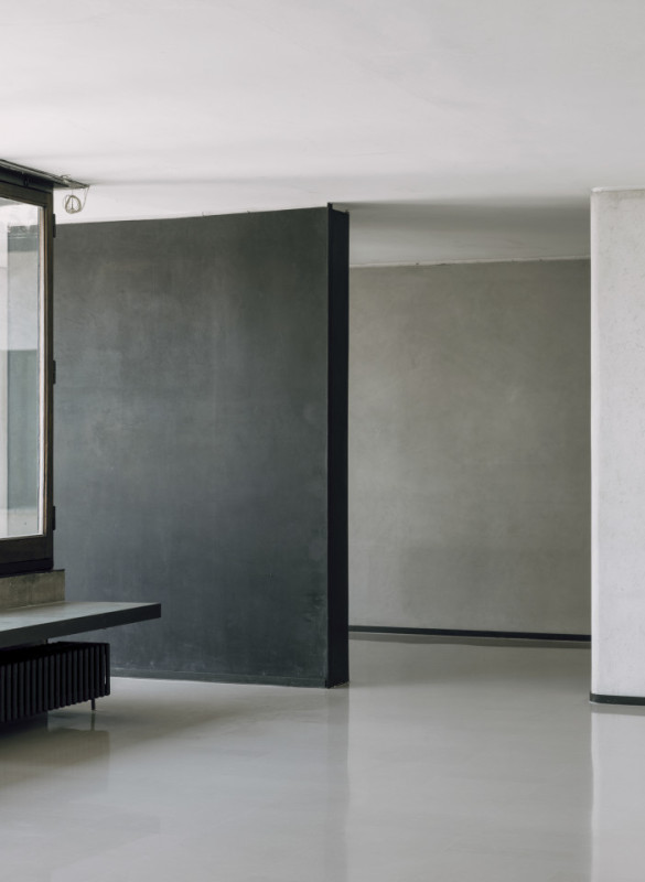 plush74 coleottero1 1 (1)