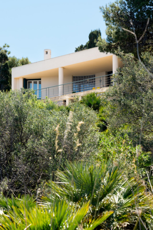 plush74 coleottero1 1 (2)