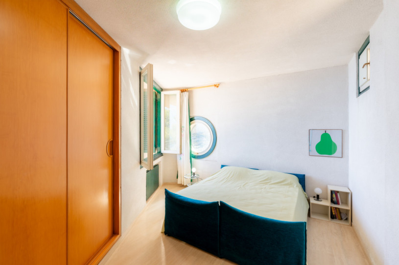 plush74 coleottero1 10 (7)