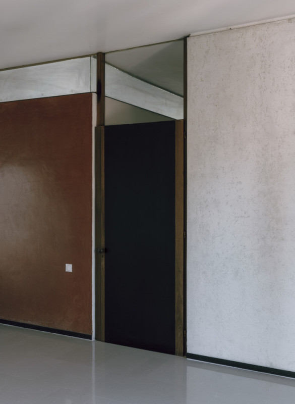 plush74 coleottero1 10