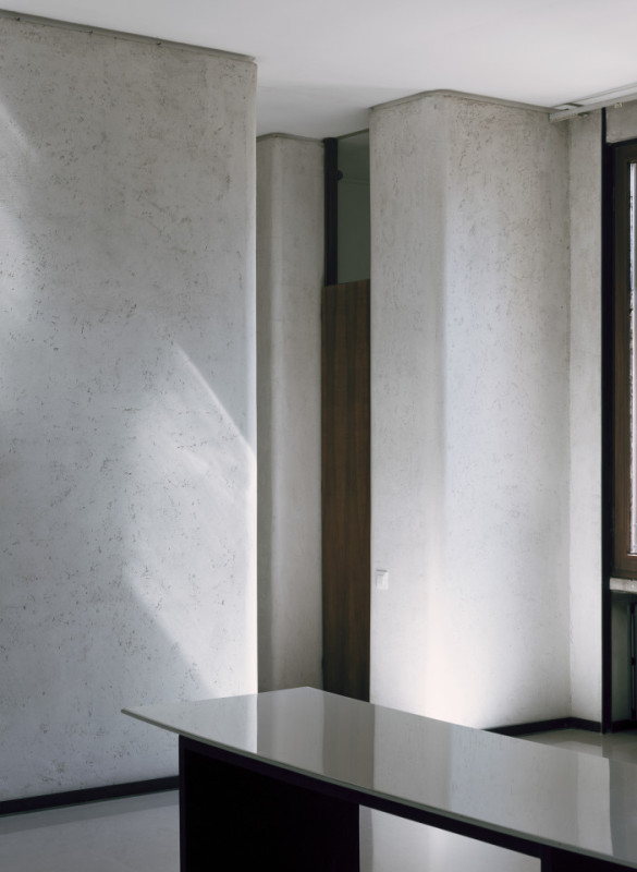 plush74 coleottero1 11 (1)