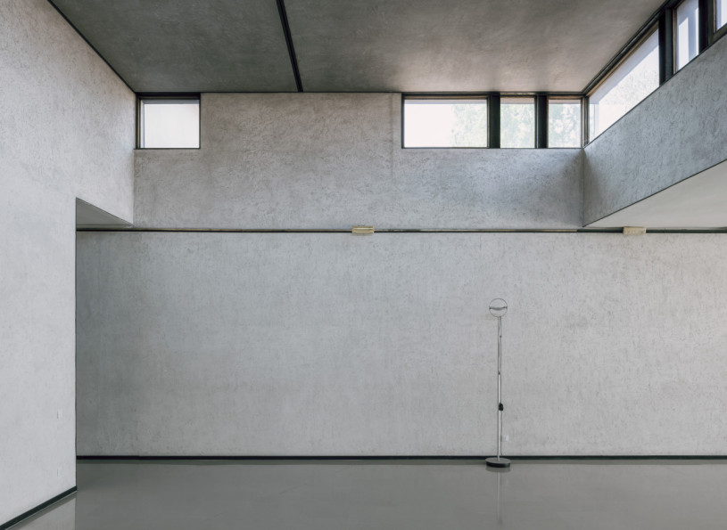 plush74 coleottero1 12 (3)