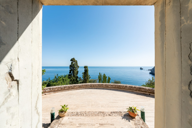 plush74 coleottero1 13