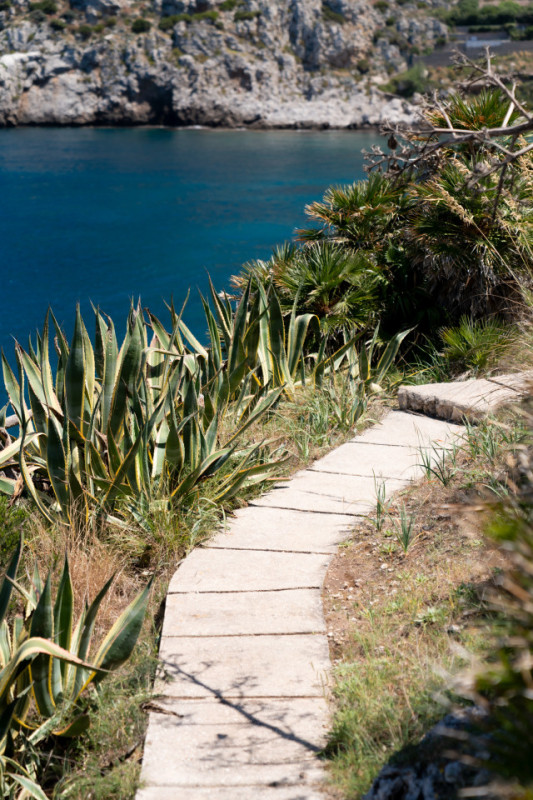 plush74 coleottero1 19