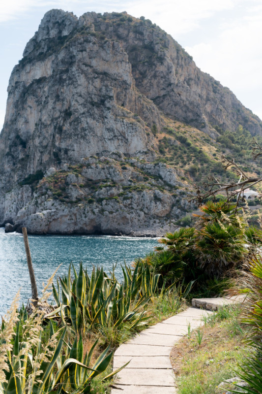 plush74 coleottero1 21 (1)