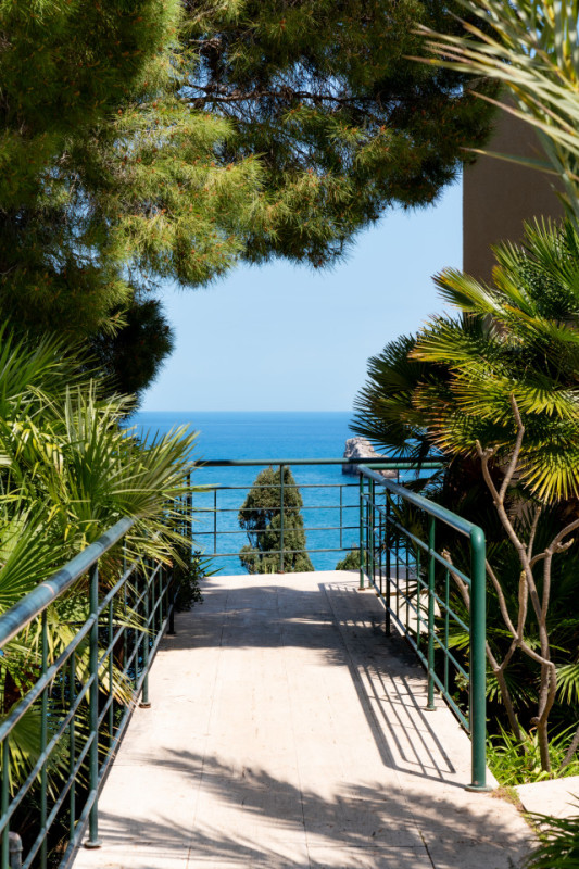 plush74 coleottero1 21 (2)