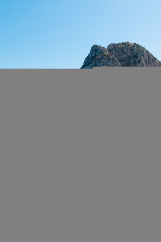 plush74 coleottero1 21 (3)