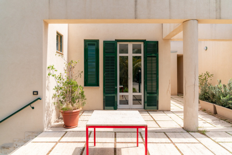 plush74 coleottero1 21 (4)