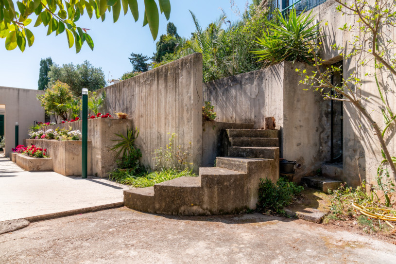 plush74 coleottero1 29 (1)