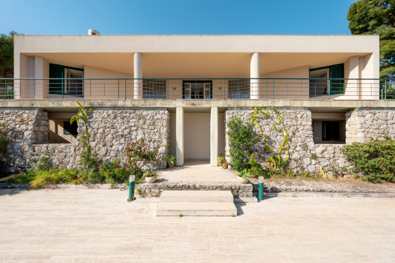 plush74 coleottero1 29