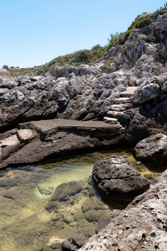 plush74 coleottero1 30