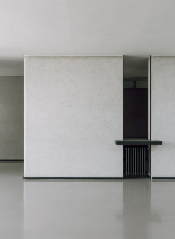 plush74 coleottero1 4