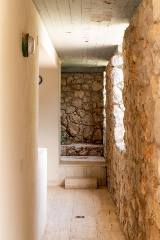 plush74 coleottero1 8 (3)